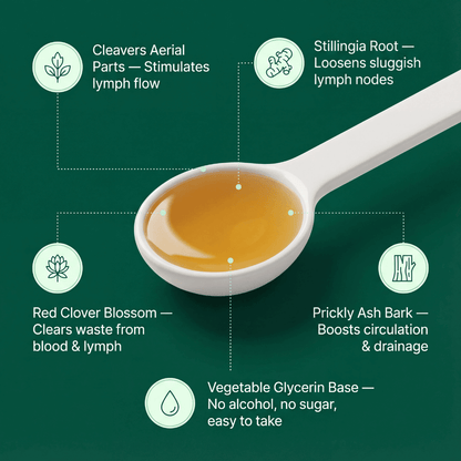 Nuflos Lymphatic Drainage Drops For Daily Wellness And Whole-Body Relief